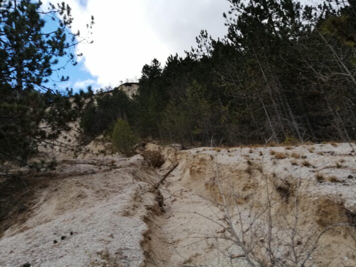 IMG_20200201_150027_1-min