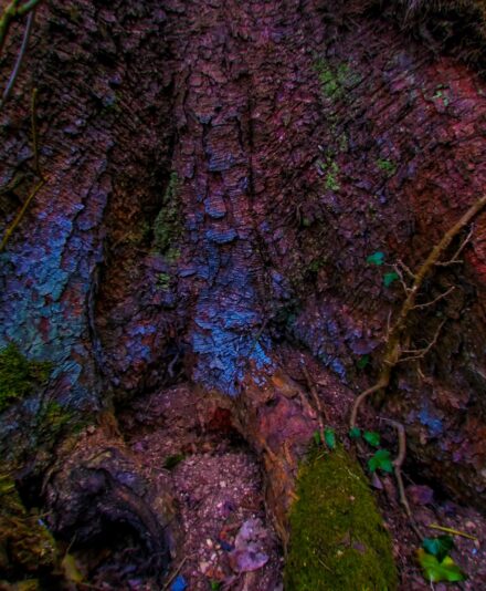 20180405_182451-01-min