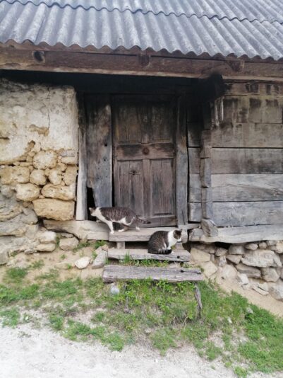 IMG_20220501_133752-min